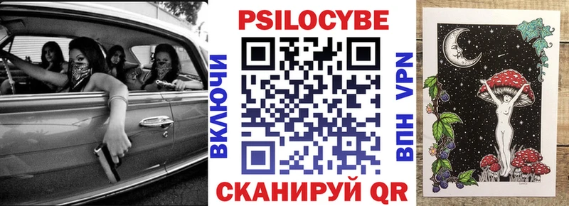 купить наркотики сайты  Чкаловск  Псилоцибиновые грибы Psilocybine cubensis 