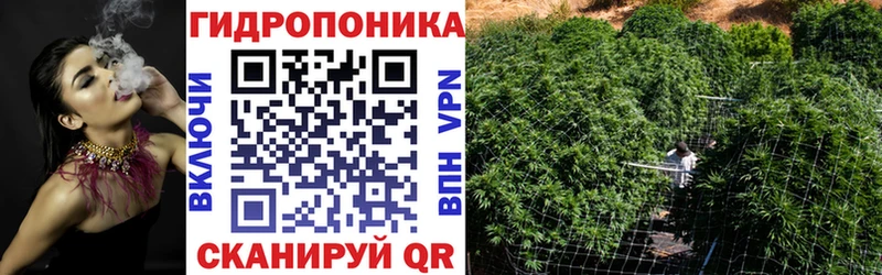 Бошки марихуана сатива  Чкаловск 